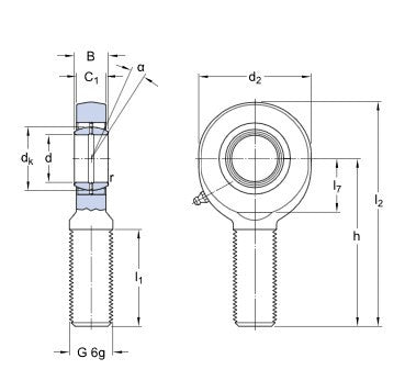SKF SAL 30 ES testa snodata