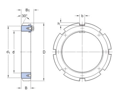 SKF HM 3044 dado di sicurezza con inserti di sicurezza