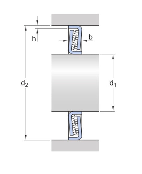 SKF Z 204 F guarnizione