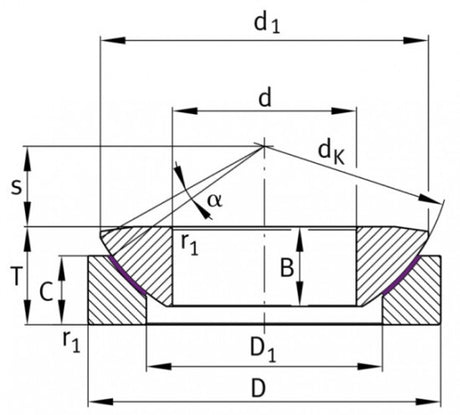 SKF GX 100 F cuscinetto articolato