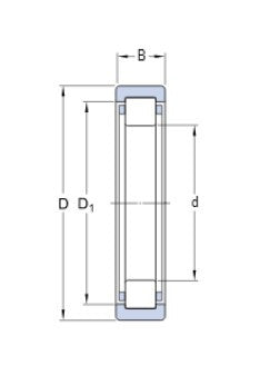 SKF RNU 206 ECP cuscinetto a rulli